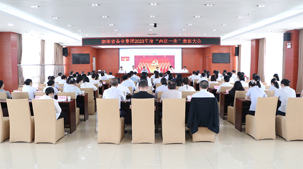 湖南省银河yh0076集团召开“两优一先”表彰大会