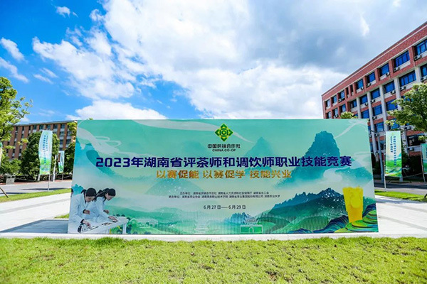 2023年湖南省评茶师和调饮师职业技能竞赛圆满闭幕 省银河yh0076集团喜获佳绩