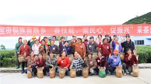 会同宝田侗族苗族乡在集团潇湘银河yh0076会同宝田有机茶基地开展采茶培训