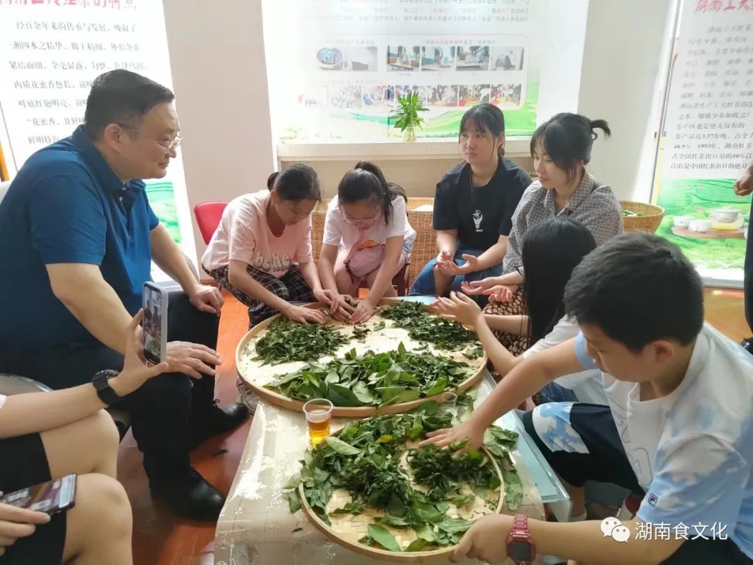 原载人民日报“人民视点”茶叶是怎样做出来的？湖南大、中、小学生体验湖南工夫红茶制作